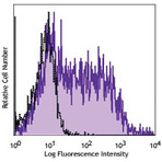 Purified anti-rat CD80