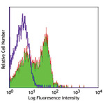 Purified anti-rat CD28