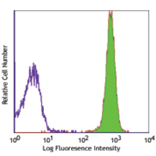 FITC anti-rat CD45