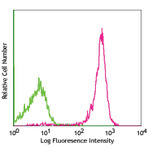 Alexa Fluor(R) 488 anti-rat CD45