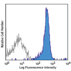 PerCP/Cy5.5 anti-rat CD45