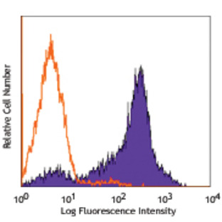 FITC anti-rat CD44H (Pgp-1, H-CAM)