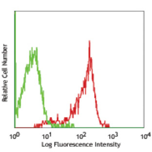 FITC anti-rat Myeloid Lineage