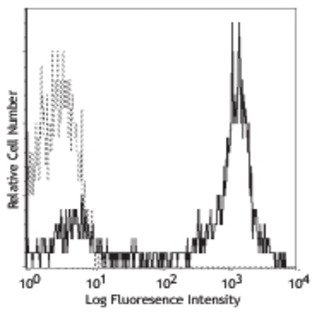 Purified anti-human CD5