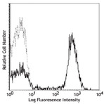 Purified anti-human CD28