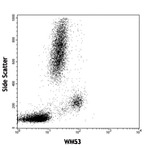 LEAF(TM) Purified anti-human CD33