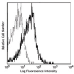 Biotin anti-human CD178 (Fas-L)