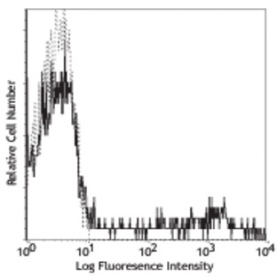 Purified anti-human HLA-DR