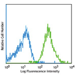 PE/Cy7 anti-human/mouse/rat CD278 (ICOS)