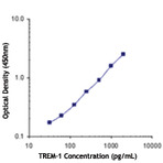 Biotin anti-human CD354 (TREM-1)