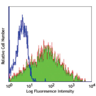 Purified anti-human CD47