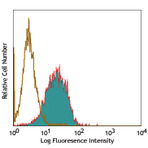 Purified anti-human CD105