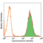 Biotin anti-human CD105