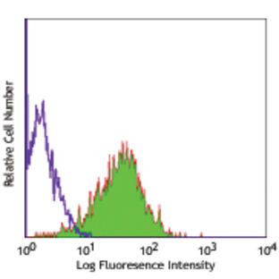 Purified anti-human CD90 (Thy1)