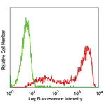 Purified anti-human TRA-1-60-R