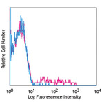 Biotin anti-human CD335 (NKp46)