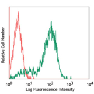 Biotin anti-human CD338 (ABCG2)