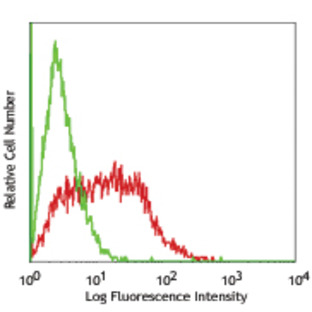 Purified anti-human HLA-G