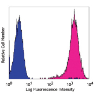 Purified anti-human CD146 (MUC18, Mel-CAM)