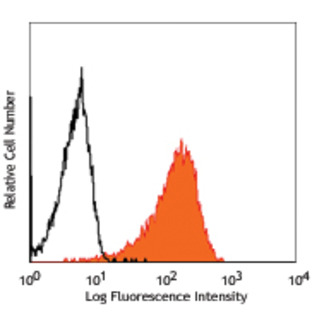 Purified anti-human Notch 3