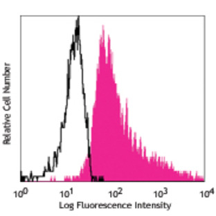 Purified anti-human Notch 4