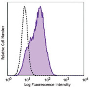 Purified anti-human Tim-4