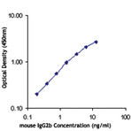 Purified Anti-Mouse IgG2b