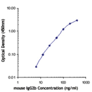 Biotin anti-mouse IgG2b