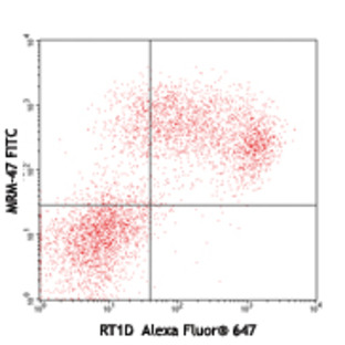 FITC anti-rat IgM