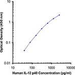 Purified anti-human IL-12/IL-23 p40