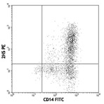 PE anti-mouse/rat/human MCP-1