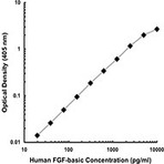 Purified anti-human FGF-basic