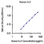 Purified anti-human IL-8