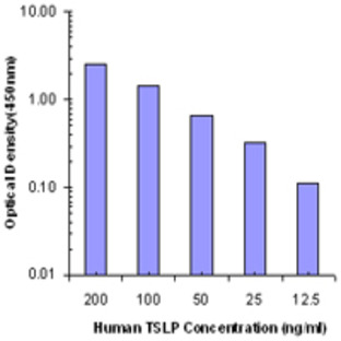 Purified anti-human TSLP