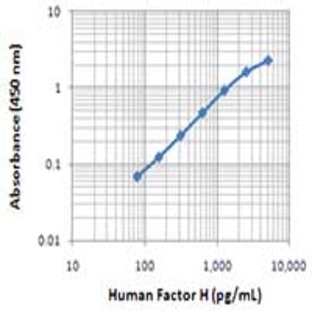 Purified anti-human Factor H