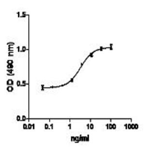 Recombinant human FGF-basic/145aa (carrier-free)