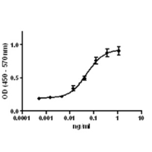 Recombinant human IL-12 (p70) (carrier-free)