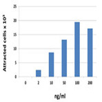 Recombinant Human CCL17 (TARC) (carrier-free)