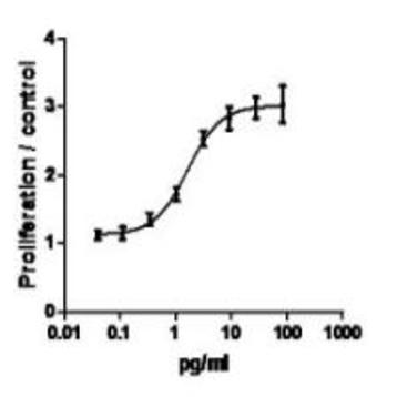 Recombinant mouse IL-6 (carrier-free)