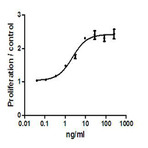 Recombinant mouse IL-13 (carrier-free)