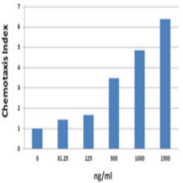 Recombinant Human CXCL9 (MIG) (carrier-free)