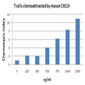 Recombinant Mouse CXCL9 (MIG) (carrier-free)