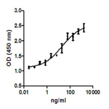 Recombinant Human IL-17A/F Heterodimer (carrier-free)