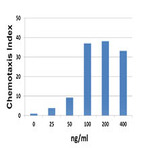 Recombinant Mouse CCL17 (TARC) (carrier-free)