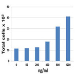 Recombinant Mouse CCL8 (MCP-2) (carrier-free)