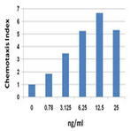 Recombinant Mouse CXCL2 (MIP-2) (carrier-free)