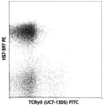 PE anti-mouse TCR beta chain