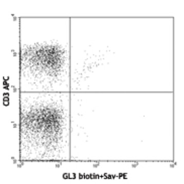 Biotin Anti-mouse TCR gamma/delta