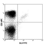 FITC Anti-mouse TCR gamma/delta