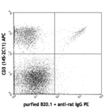 Purified anti-mouse TCR Valpha2